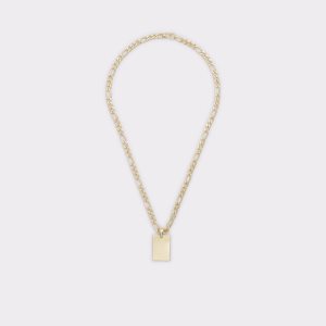 Aldo Hettingen Ketten Gold | LVM-751243