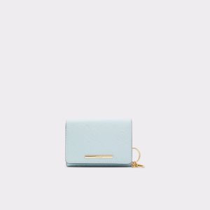 Aldo Iconipouch Geldbörse Hellblau | DCX-027416