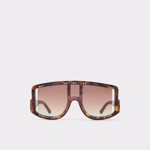 Aldo Javabriclya Shield Sonnenbrille Braun | DFX-463852
