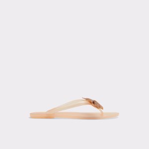 Aldo Kahala Flache Sandal Sandalen Beige | RGY-861320