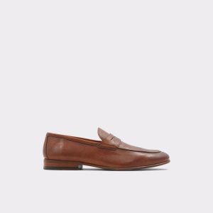 Aldo Manubar Loafers Braun | ARX-419658