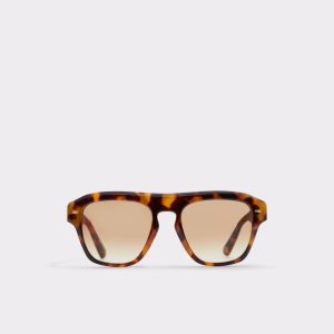 Aldo Milicien Sonnenbrille Braun | WKL-316529