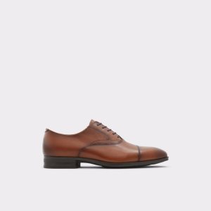 Aldo Miraylle Oxford Schuhe Braun | LXV-862751