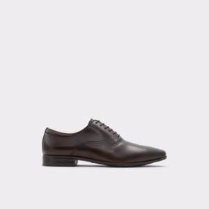 Aldo Nathon Oxford Schuhe Dunkelbraun | MVO-478912