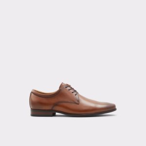 Aldo Noicien-w Derby Oxford Schuhe Braun | YOZ-610854