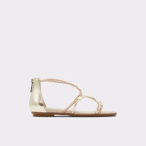 Aldo Oceriwenflex Riemchen Flache Sandal Sandalen Metal Mehrfarbig | ZRI-618507