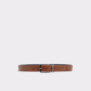 Aldo Pilosellus Gürtel Braun | XVO-549673