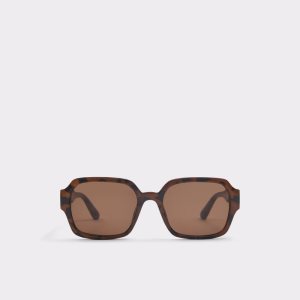 Aldo Quoll Sonnenbrille Braun | LBT-982106