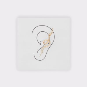Aldo Vaoveth Cuff Ohrringe Gold Mehrfarbig | YNP-025874